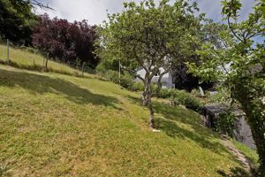 Photo 7- click for photo gallery